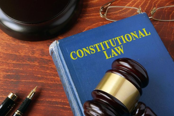  Constitutional Cases