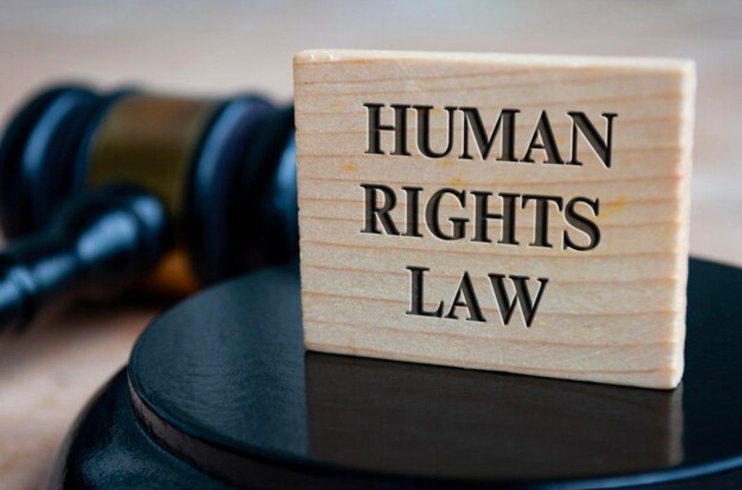  Human Rights Cases