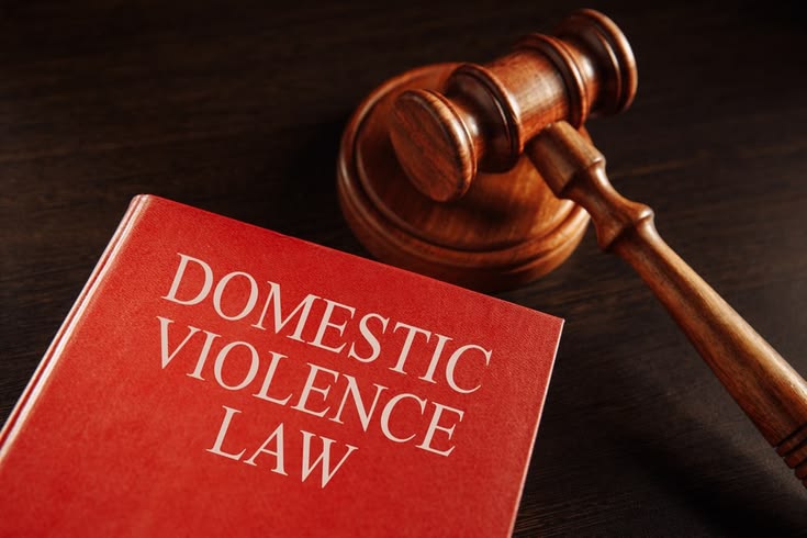  Domestic Violence Cases